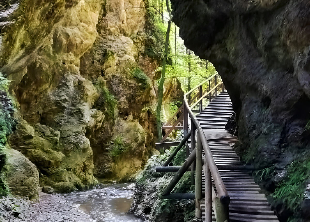 Senderismo en Kesselfallklamm y cascadas en Estiria