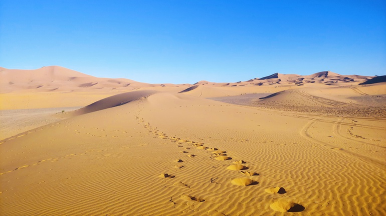 Road trip in Morocco: 1 week trip itinerary in the Sahara Desert
