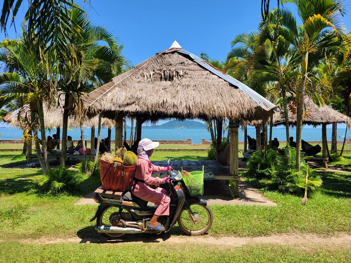 Bungalow traditionnel à Kep, Cambodge, et femme en moto passant avec panier de fruits durian