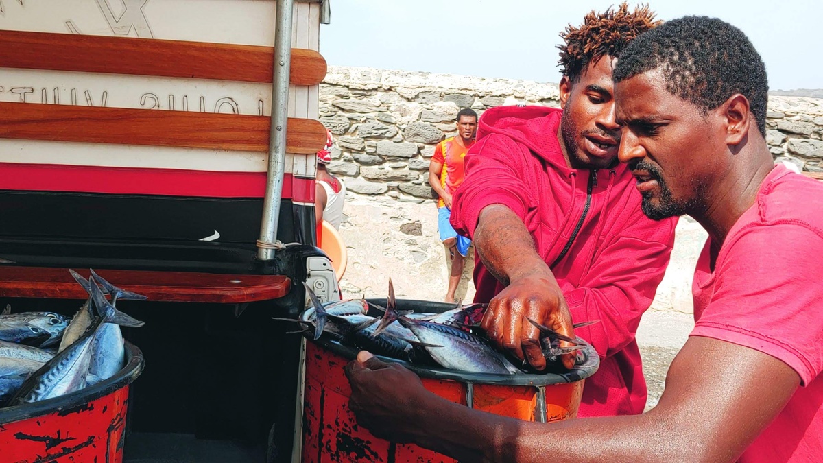 Hombre caboverdiano transportando pescado en un balde de plástico