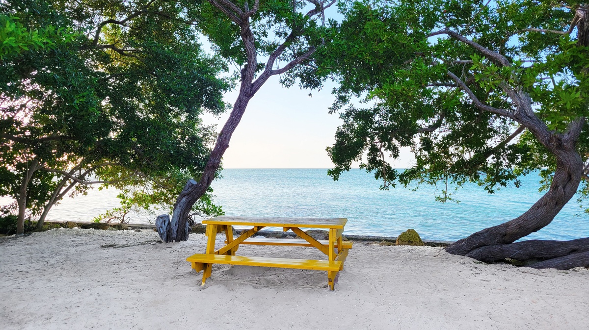Table de pique-nique ombragée sous les arbres avec vue sur la mer à Sarteneja